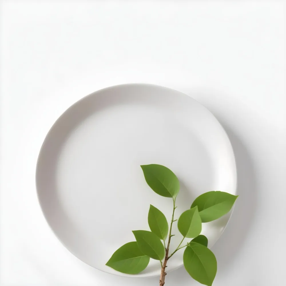 A White Plate With A Green Branch On Top Of It In A White Background 68 60c7