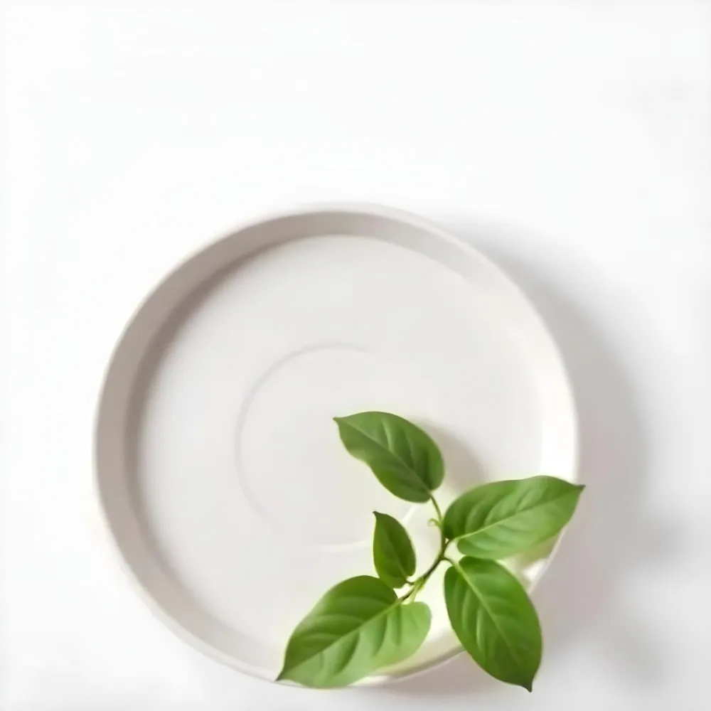 A White Plate With A Green Branch On Top Of It In A White Background 7 6f96