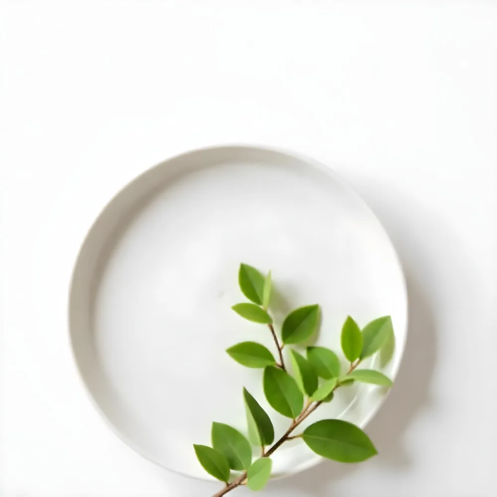 A White Plate With A Green Branch On Top Of It In A White Background 9 829d