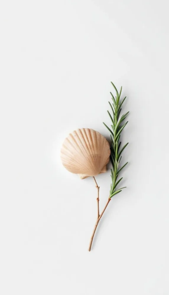 A Wooden Seashell And A Rosemary Branch On A White Background Minimalist Composition Soft Lighting Natural Materials Clean Aesthetic Studio Shot Simple Elegance Organic Elements 21 4d8a
