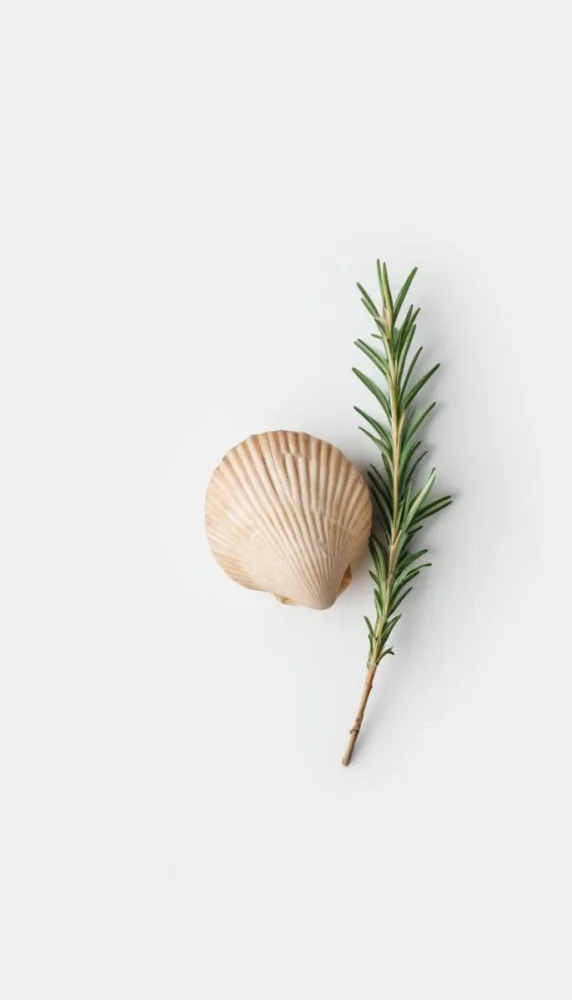A Wooden Seashell And A Rosemary Branch On A White Background Minimalist Composition Soft Lighting Natural Materials Clean Aesthetic Studio Shot Simple Elegance Organic Elements 23 2d6d