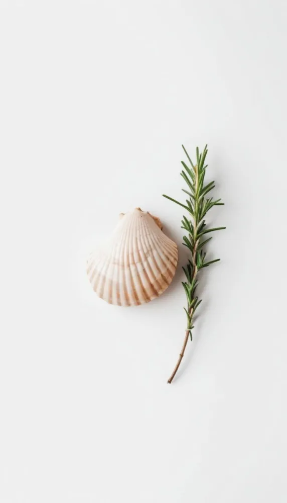 A Wooden Seashell And A Rosemary Branch On A White Background Minimalist Composition Soft Lighting Natural Materials Clean Aesthetic Studio Shot Simple Elegance Organic Elements 26 4875