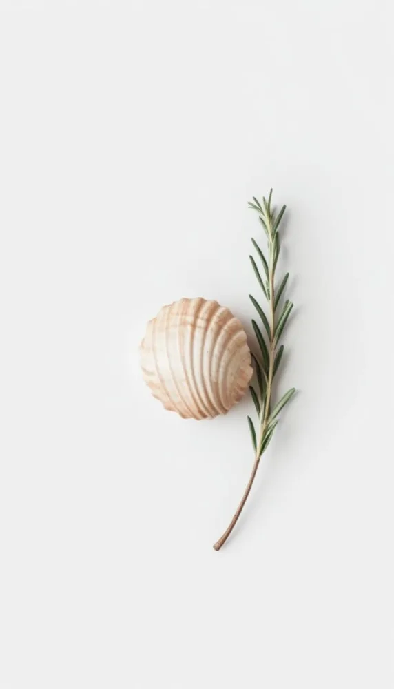 A Wooden Seashell And A Rosemary Branch On A White Background Minimalist Composition Soft Lighting Natural Materials Clean Aesthetic Studio Shot Simple Elegance Organic Elements 40 D970