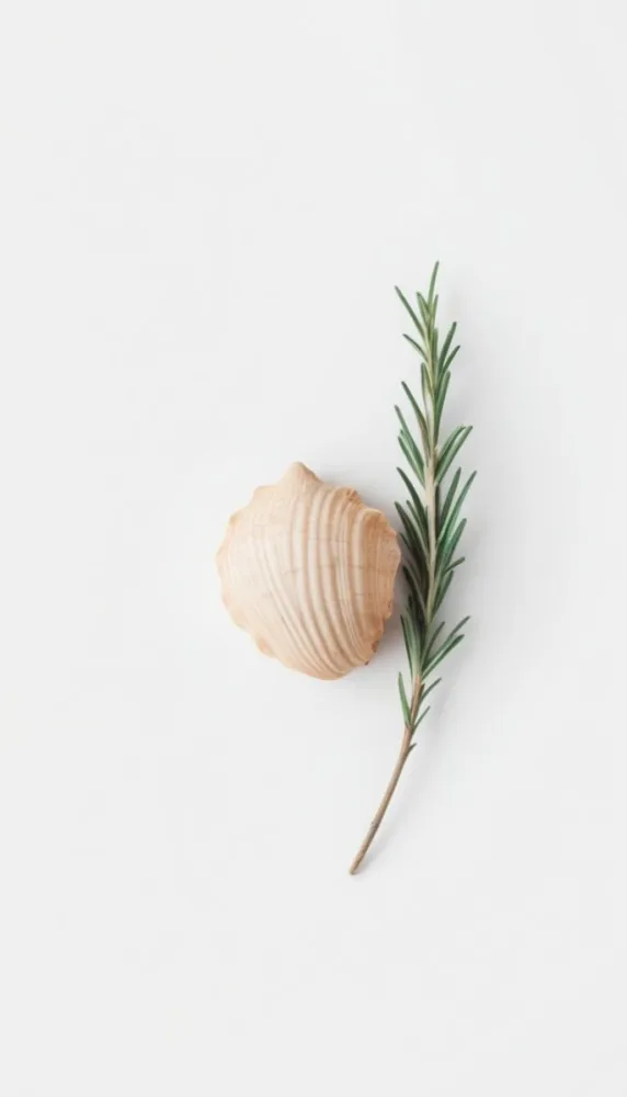 A Wooden Seashell And A Rosemary Branch On A White Background Minimalist Composition Soft Lighting Natural Materials Clean Aesthetic Studio Shot Simple Elegance Organic Elements 44 Edda