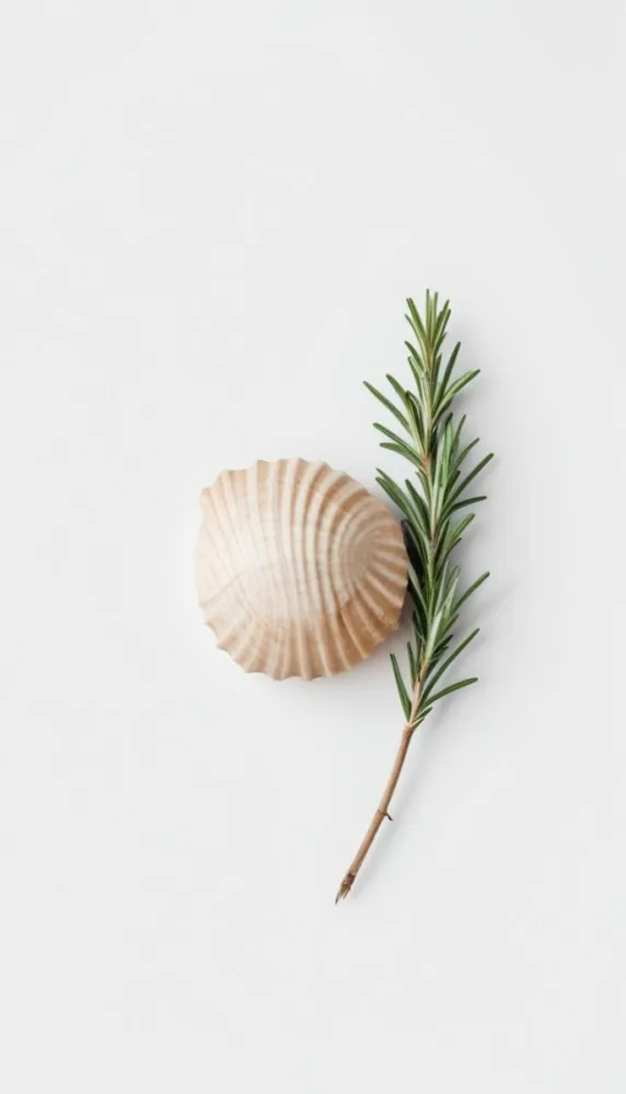 A Wooden Seashell And A Rosemary Branch On A White Background Minimalist Composition Soft Lighting Natural Materials Clean Aesthetic Studio Shot Simple Elegance Organic Elements 5 F6f0