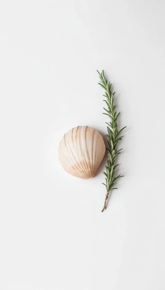 A Wooden Seashell And A Rosemary Branch On A White Background Minimalist Composition Soft Lighting Natural Materials Clean Aesthetic Studio Shot Simple Elegance Organic Elements 6 2d2f
