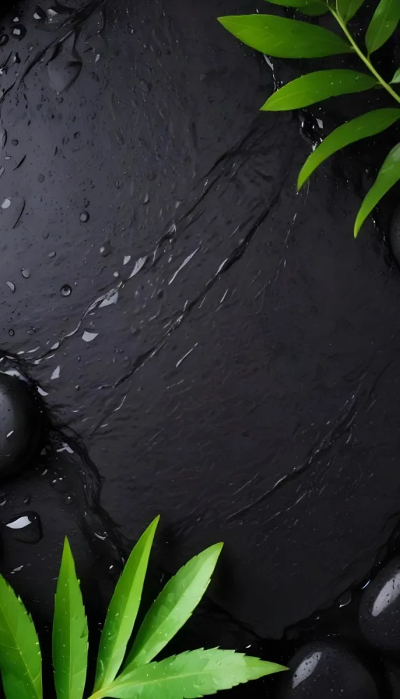 Black Stone With Water Drops And Green Leaves Dark Background 14 0758