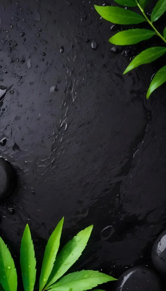 Black Stone With Water Drops And Green Leaves Dark Background 39 888f