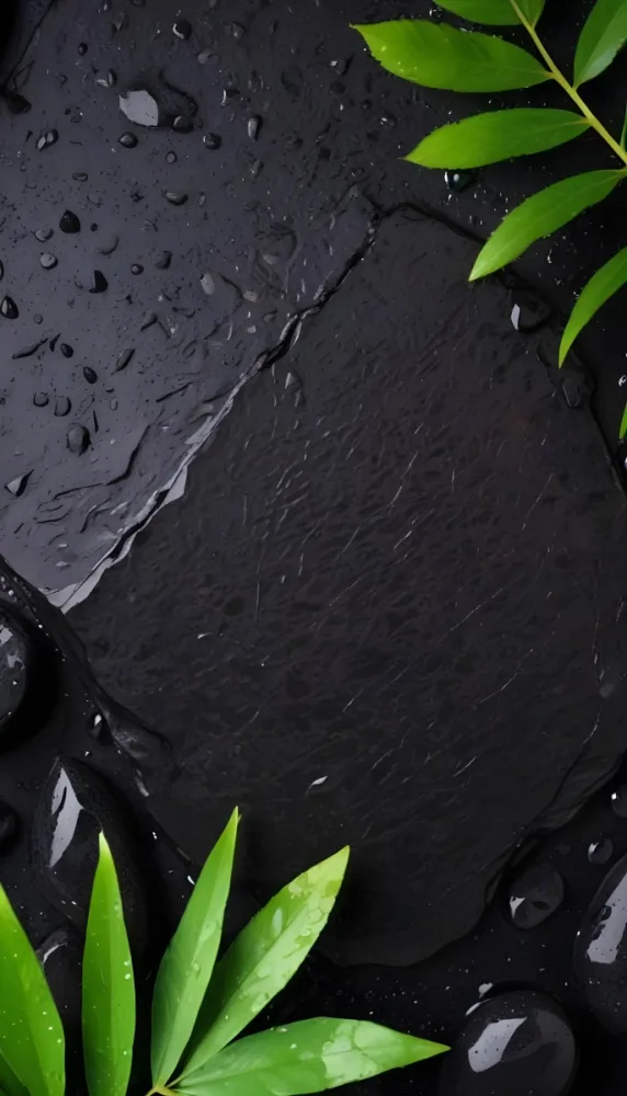 Black Stone With Water Drops And Green Leaves Dark Background 8 D42e