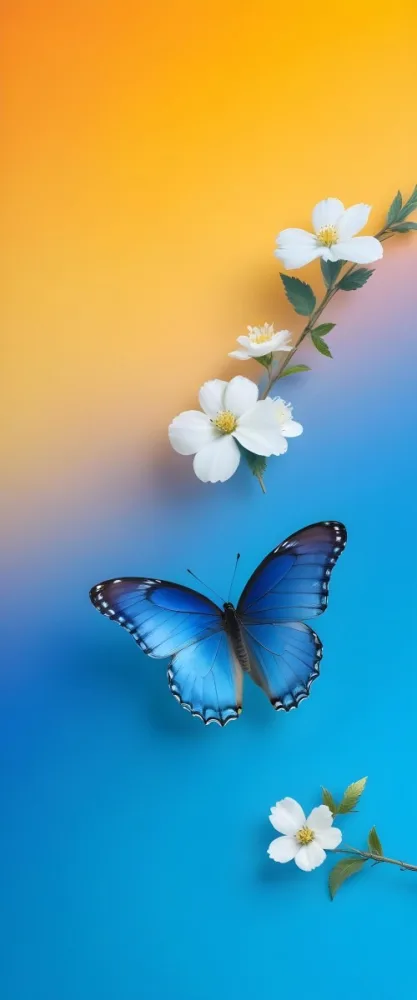 Blue Butterfly With White Flowers Against A Colorful Gradient Background 2 Cc45