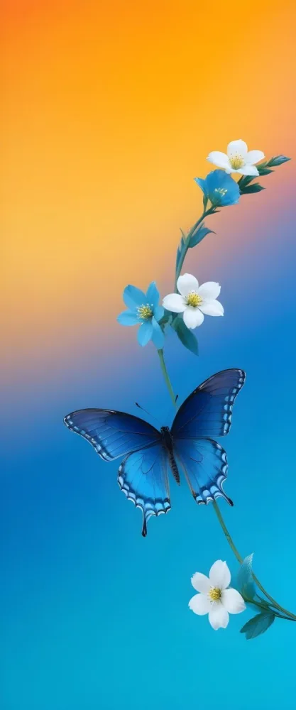 Blue Butterfly With White Flowers Against A Colorful Gradient Background 3 E9d8