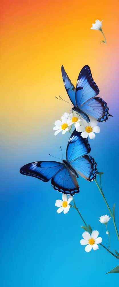 Blue Butterfly With White Flowers Against A Colorful Gradient Background 4 E807