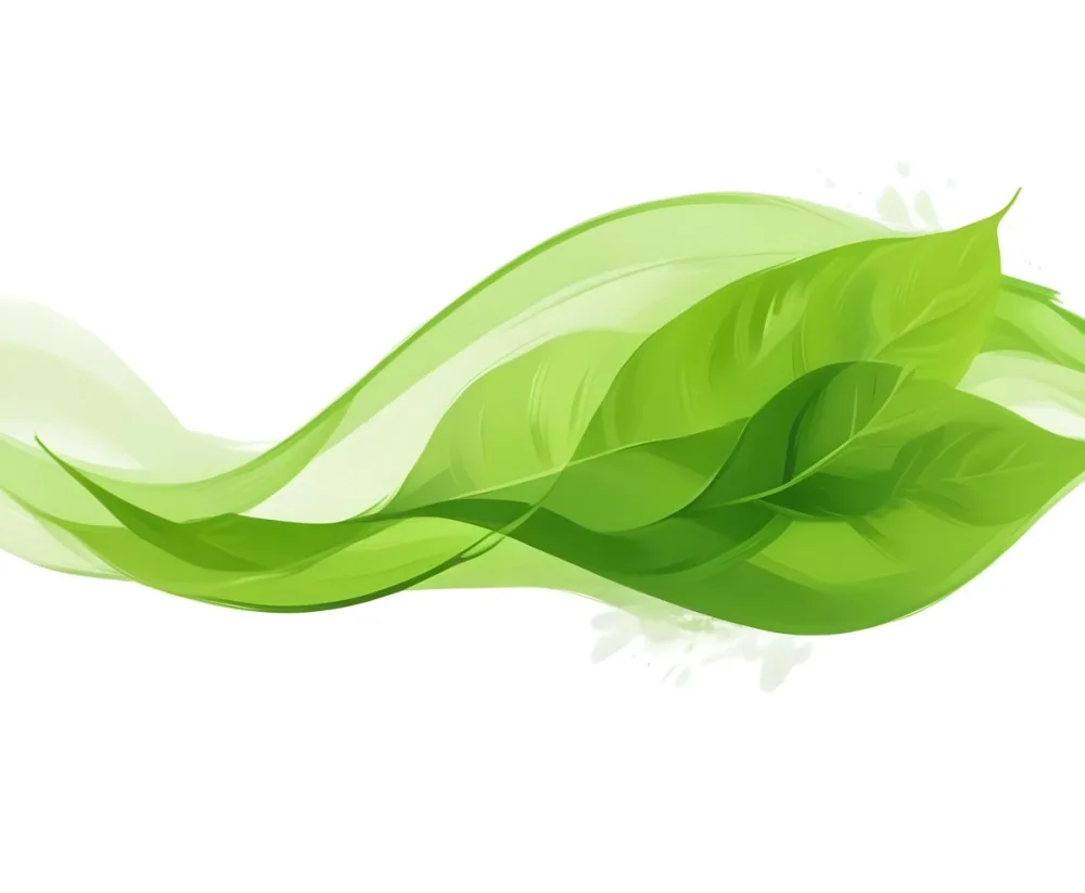 Digital Painting Green Leaves With A Green Wave On A White Background The Leaves Are Bright Green And The Wave Is A Lighter Green Bold And Slim Lines Brush Strokes 1 D436