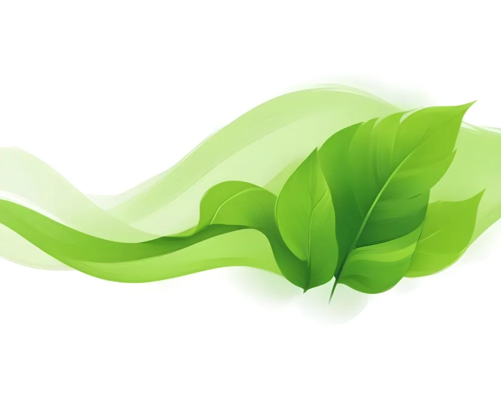 Digital Painting Green Leaves With A Green Wave On A White Background The Leaves Are Bright Green And The Wave Is A Lighter Green Bold And Slim Lines Brush Strokes 10 0754