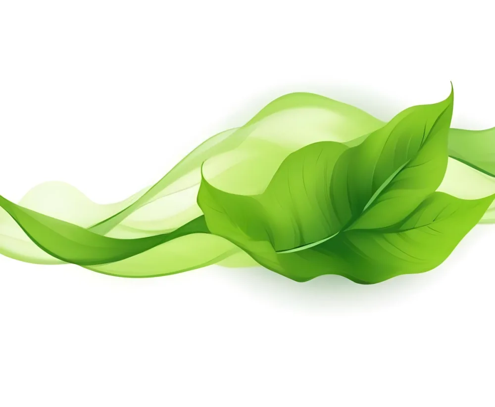 Digital Painting Green Leaves With A Green Wave On A White Background The Leaves Are Bright Green And The Wave Is A Lighter Green Bold And Slim Lines Brush Strokes 11 13b1