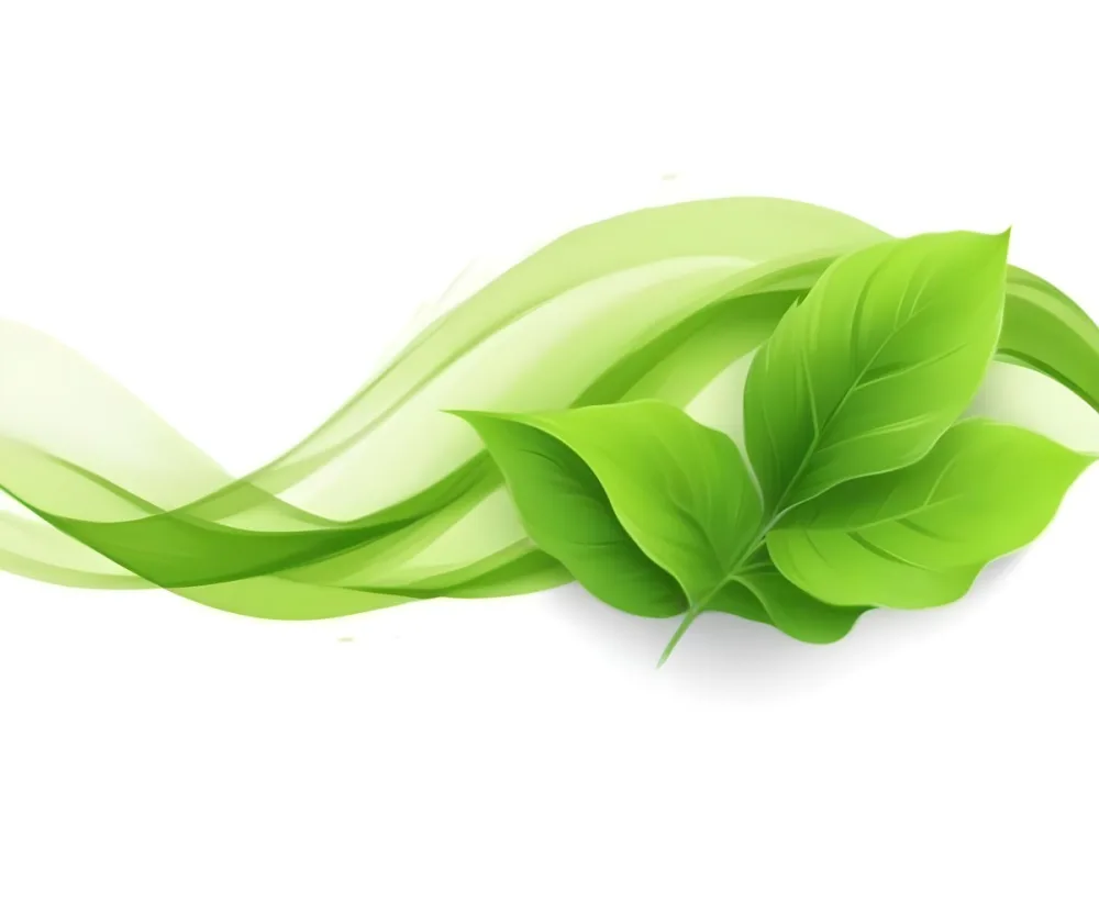 Digital Painting Green Leaves With A Green Wave On A White Background The Leaves Are Bright Green And The Wave Is A Lighter Green Bold And Slim Lines Brush Strokes 14 106e