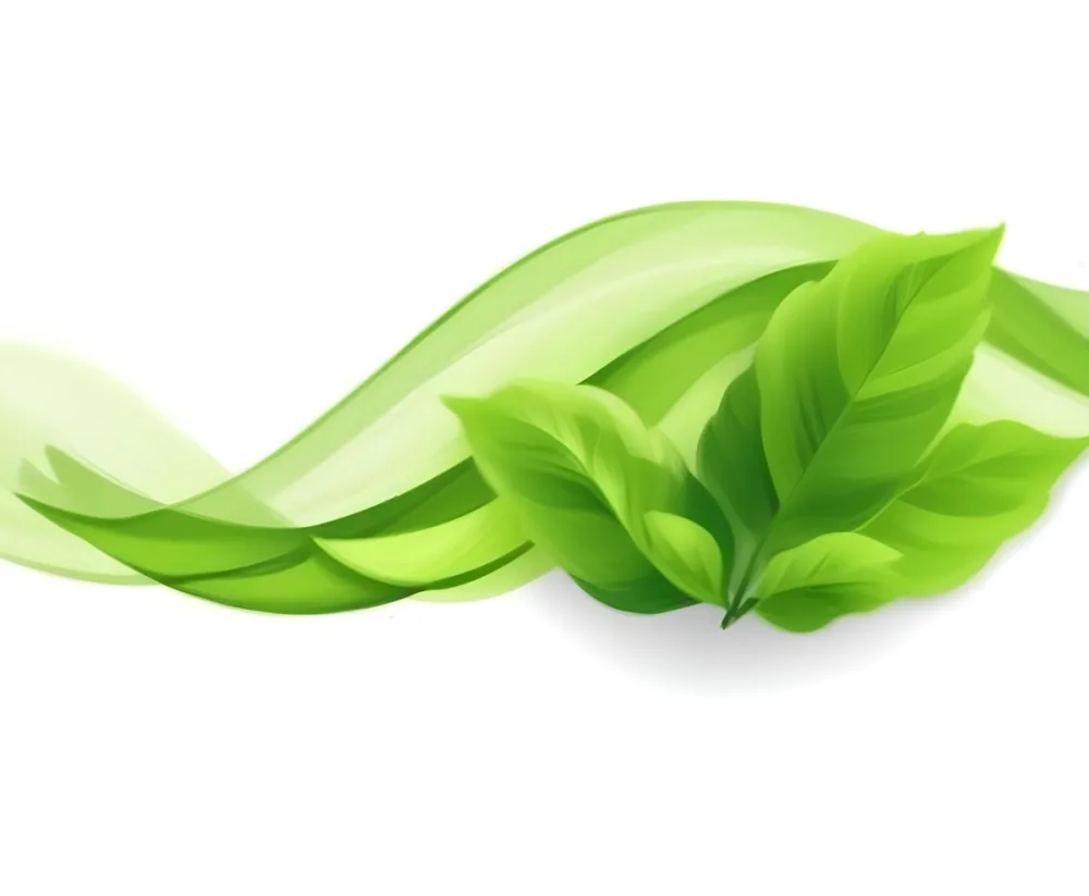 Digital Painting Green Leaves With A Green Wave On A White Background The Leaves Are Bright Green And The Wave Is A Lighter Green Bold And Slim Lines Brush Strokes 18 6c4b