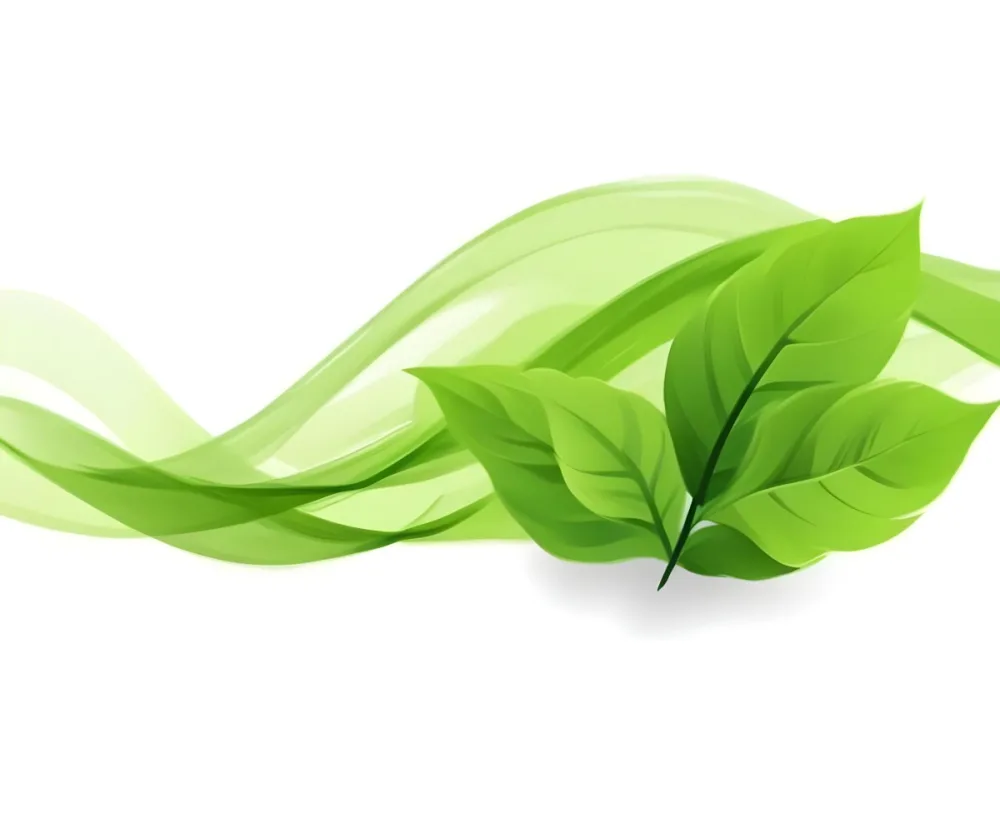 Digital Painting Green Leaves With A Green Wave On A White Background The Leaves Are Bright Green And The Wave Is A Lighter Green Bold And Slim Lines Brush Strokes 2 0ecb