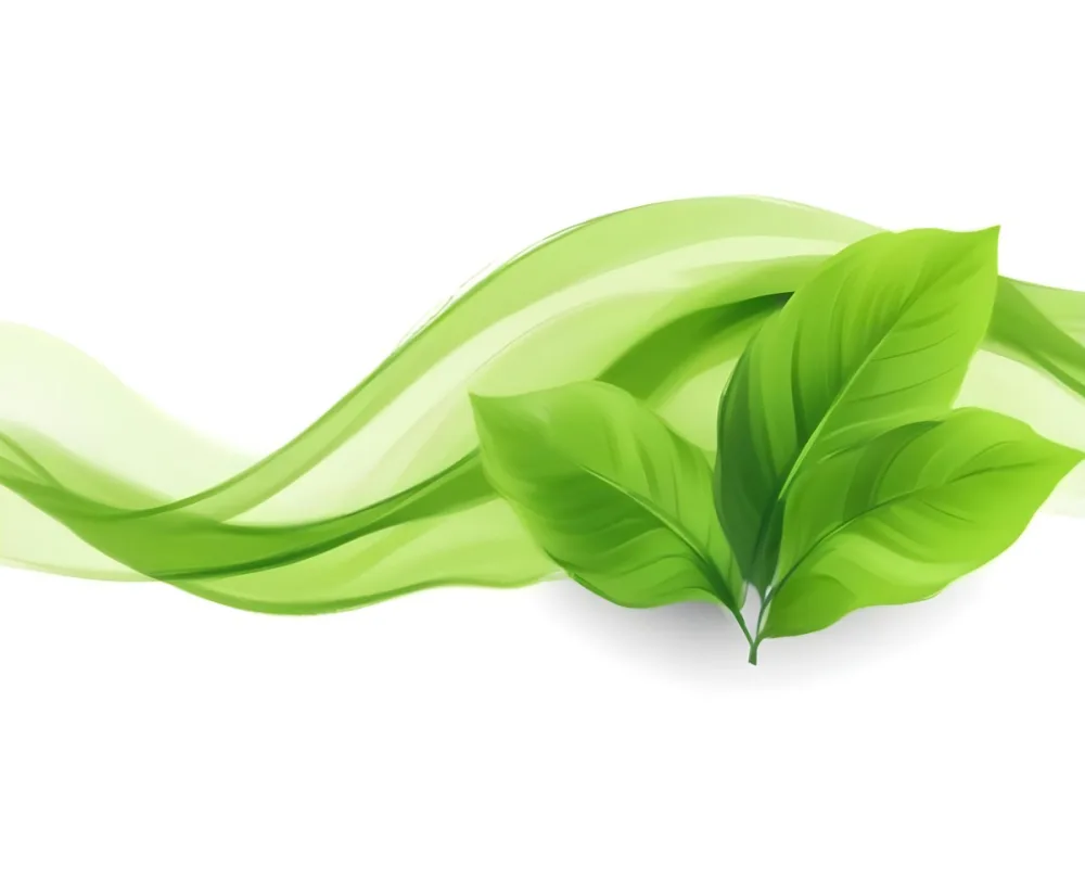 Digital Painting Green Leaves With A Green Wave On A White Background The Leaves Are Bright Green And The Wave Is A Lighter Green Bold And Slim Lines Brush Strokes 20 76e9