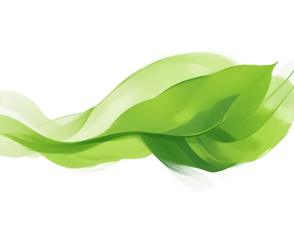 Digital Painting Green Leaves With A Green Wave On A White Background The Leaves Are Bright Green And The Wave Is A Lighter Green Bold And Slim Lines Brush Strokes 3 Eba7