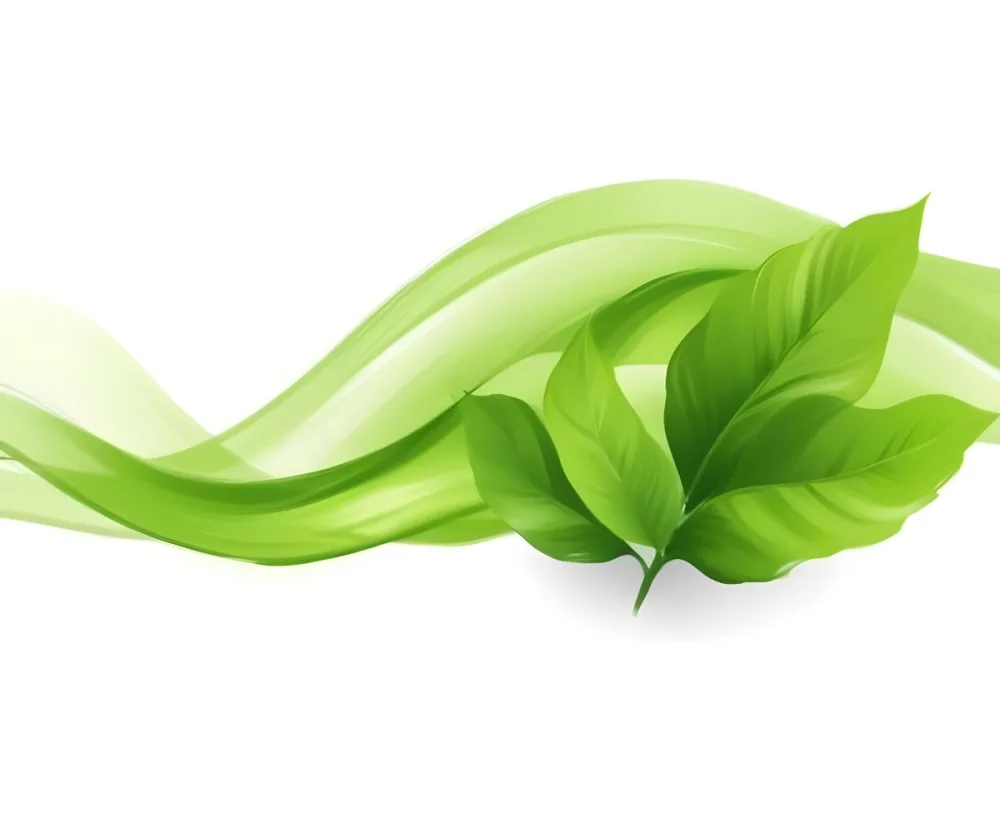 Digital Painting Green Leaves With A Green Wave On A White Background The Leaves Are Bright Green And The Wave Is A Lighter Green Bold And Slim Lines Brush Strokes 6 5494