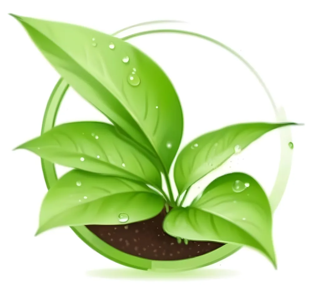 Digital Painting Green Leaves With Water Drops In A Pot With Soil Inside A Green Circle White Background Bold And Slim Lines Brush Strokes 17 5f80