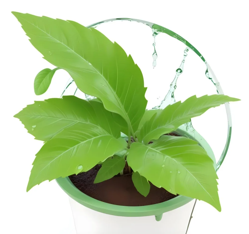 Digital Painting Green Leaves With Water Drops In A Pot With Soil Inside A Green Circle White Background Bold And Slim Lines Brush Strokes 20 Db63