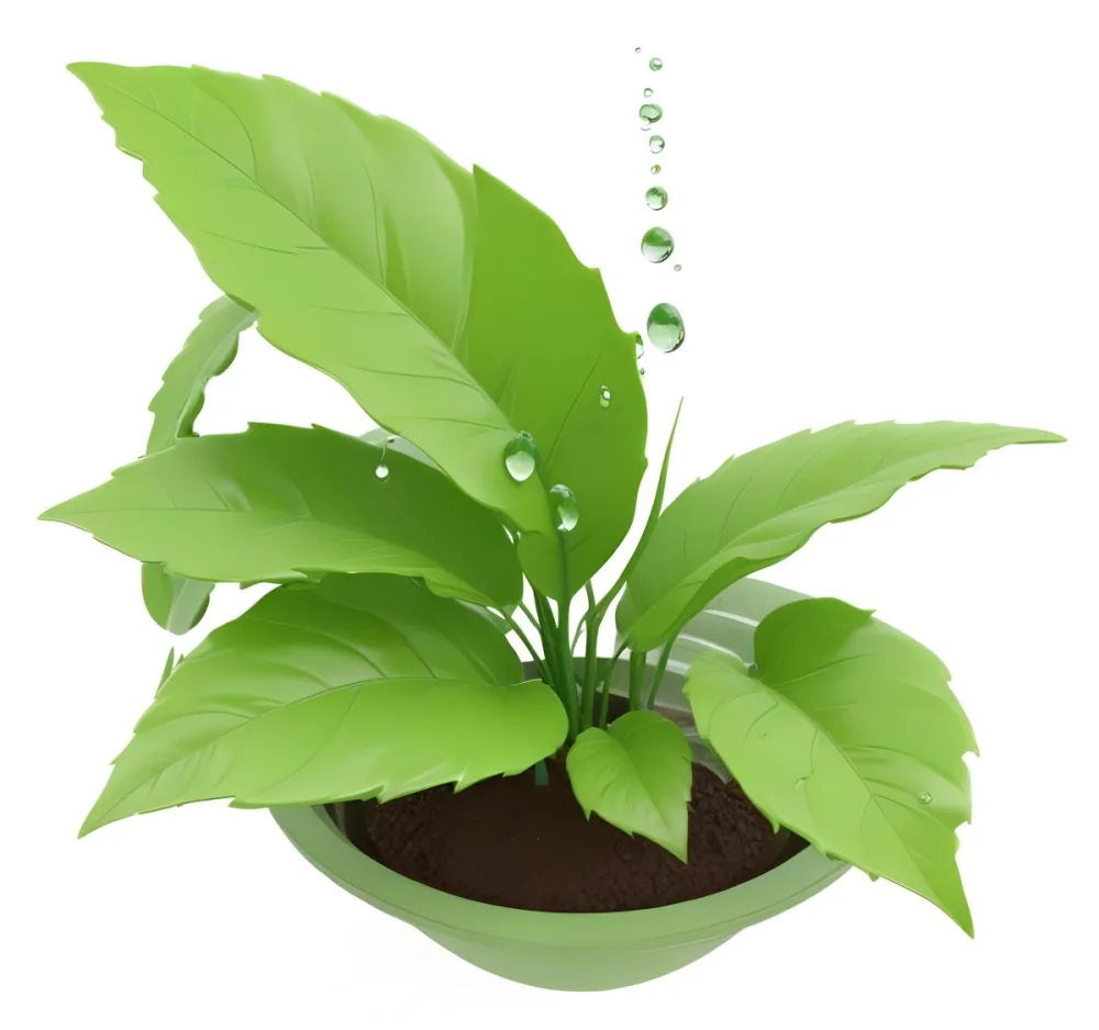 Digital Painting Green Leaves With Water Drops In A Pot With Soil Inside A Green Circle White Background Bold And Slim Lines Brush Strokes 24 9eec