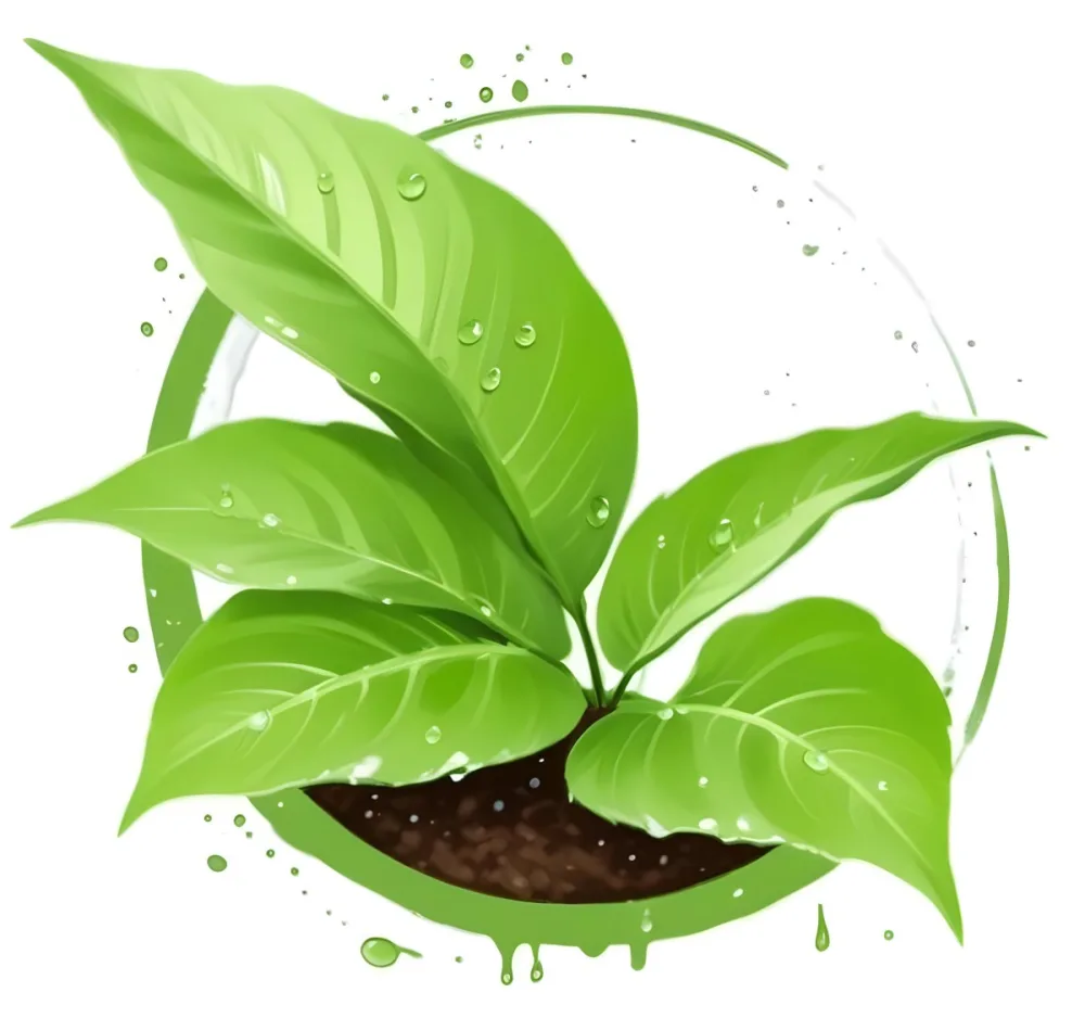 Digital Painting Green Leaves With Water Drops In A Pot With Soil Inside A Green Circle White Background Bold And Slim Lines Brush Strokes 27 2239