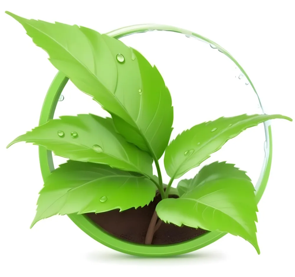 Digital Painting Green Leaves With Water Drops In A Pot With Soil Inside A Green Circle White Background Bold And Slim Lines Brush Strokes 4 E801