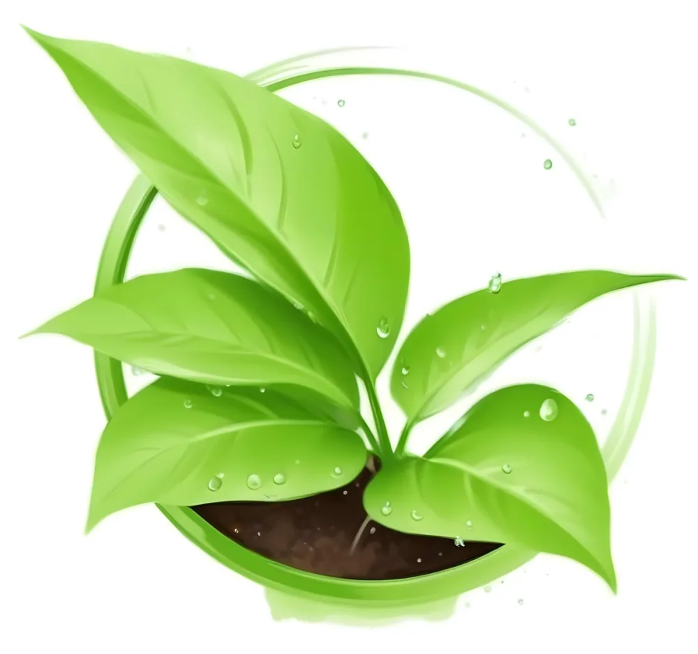 Digital Painting Green Leaves With Water Drops In A Pot With Soil Inside A Green Circle White Background Bold And Slim Lines Brush Strokes 6 9d3a