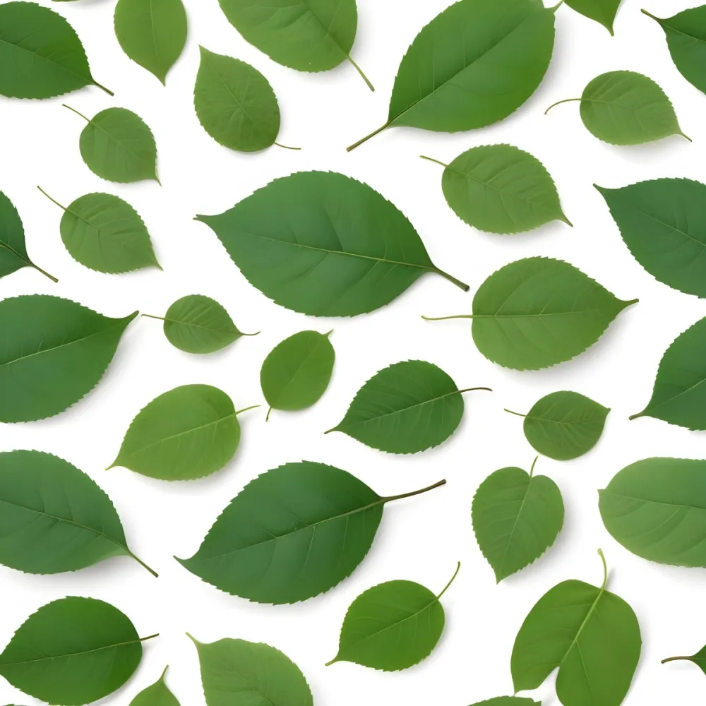 Green And Yellow Leaves Scattered Across A White Background 20 892b
