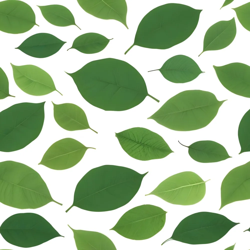 Green And Yellow Leaves Scattered Across A White Background 33 88c1