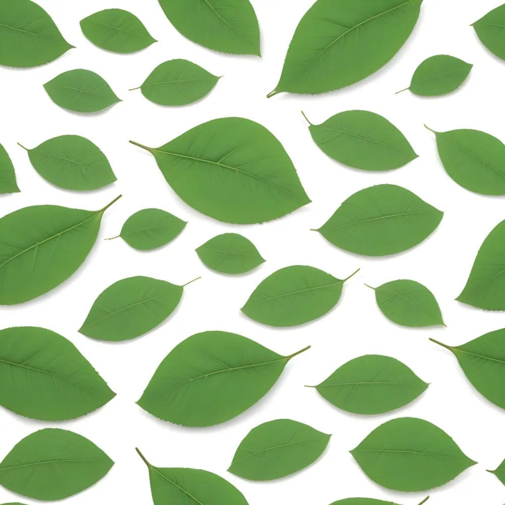 Green And Yellow Leaves Scattered Across A White Background 37 Ea99