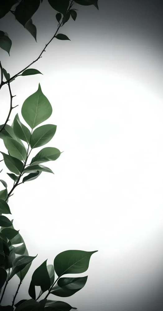 Green Leaves With White Background 2 8987