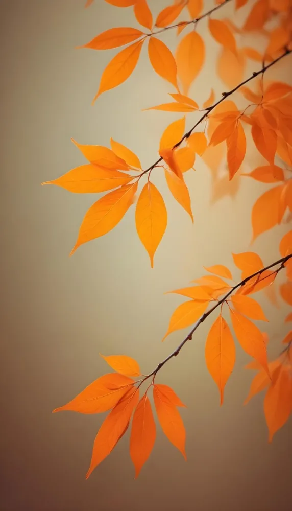 Minimal Soft Studio Light Photography Orange Leaves On Branches With A Soft Blurred Background Of Light And Colors Creating A Warm Autumnal Atmosphere High Detail Solid Bold Color Background 16 904d