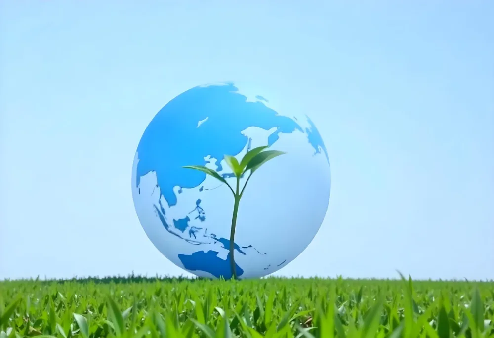 A Globe With A Plant Growing Inside On A Green Grass Field With A Clear Blue Sky In The Background Symbolizing Environmental Conservation And Sustainability 9 C686