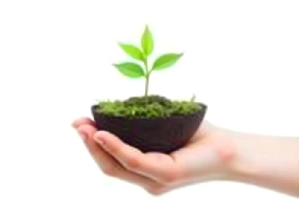 A Hand Holding A Half Earth With A Plant Growing Inside The Other Half Of The Earth Floating Above White Background 12 Ccf1