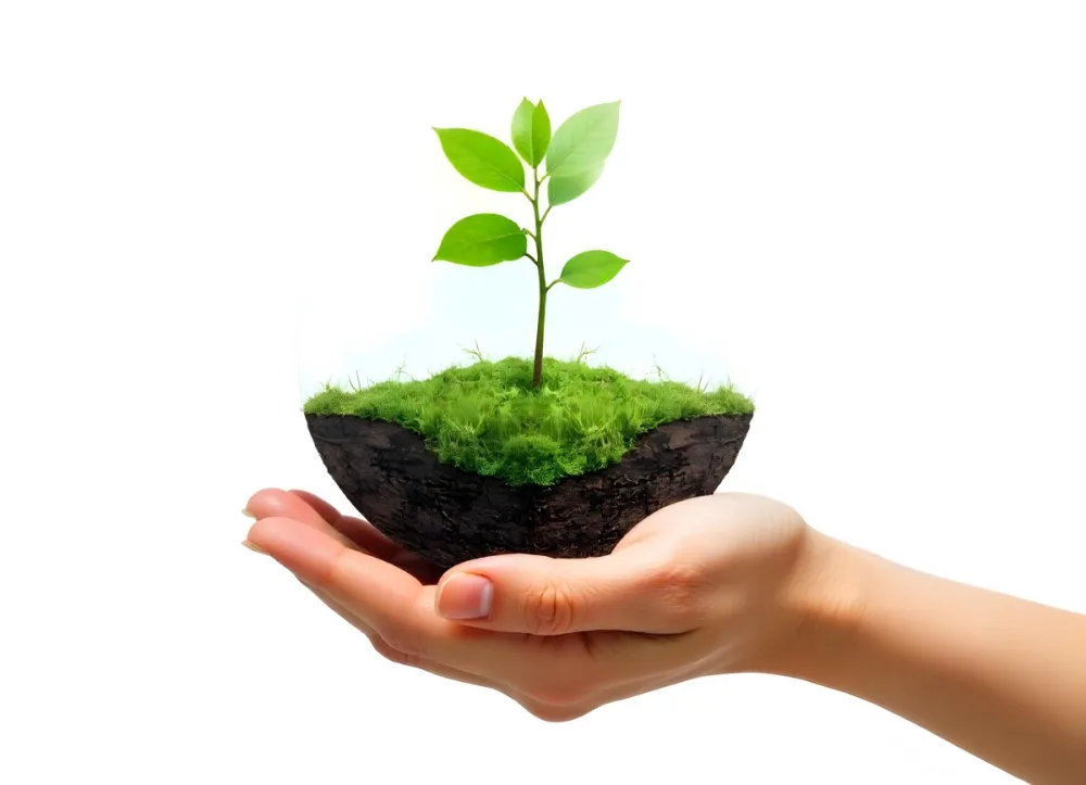 A Hand Holding A Half Earth With A Plant Growing Inside The Other Half Of The Earth Floating Above White Background 13 E0b1