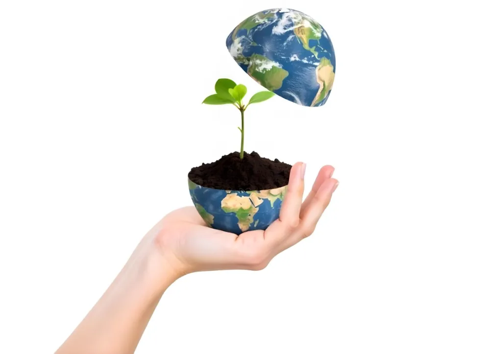 A Hand Holding A Half Earth With A Plant Growing Inside The Other Half Of The Earth Floating Above White Background 19 A2e6
