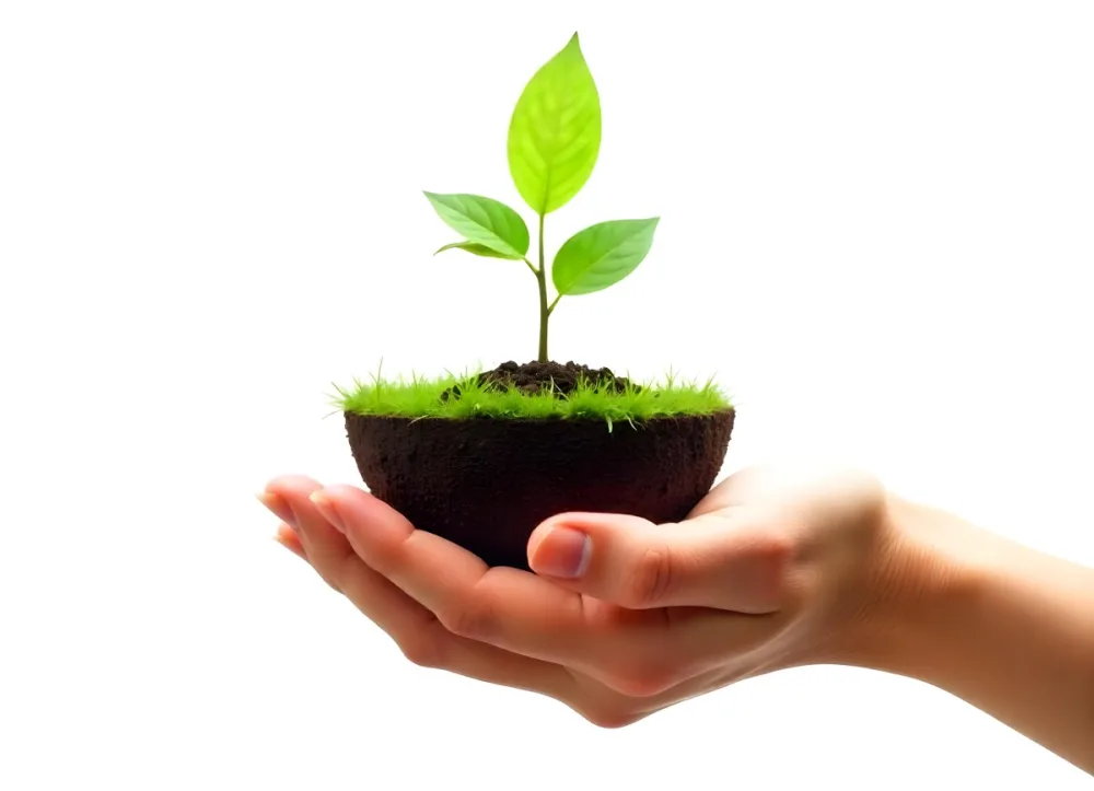 A Hand Holding A Half Earth With A Plant Growing Inside The Other Half Of The Earth Floating Above White Background 7 60cc