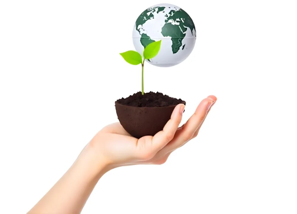 A Hand Holding A Half Earth With A Plant Growing Inside The Other Half Of The Earth Floating Above White Background 8 4fde