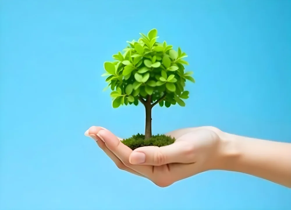 A Hand Holding A Tree With Green Leaves Blue Sky Background The Tree Is Small And Has A Round Shape The Hand Is Light Skin 1 6ed9