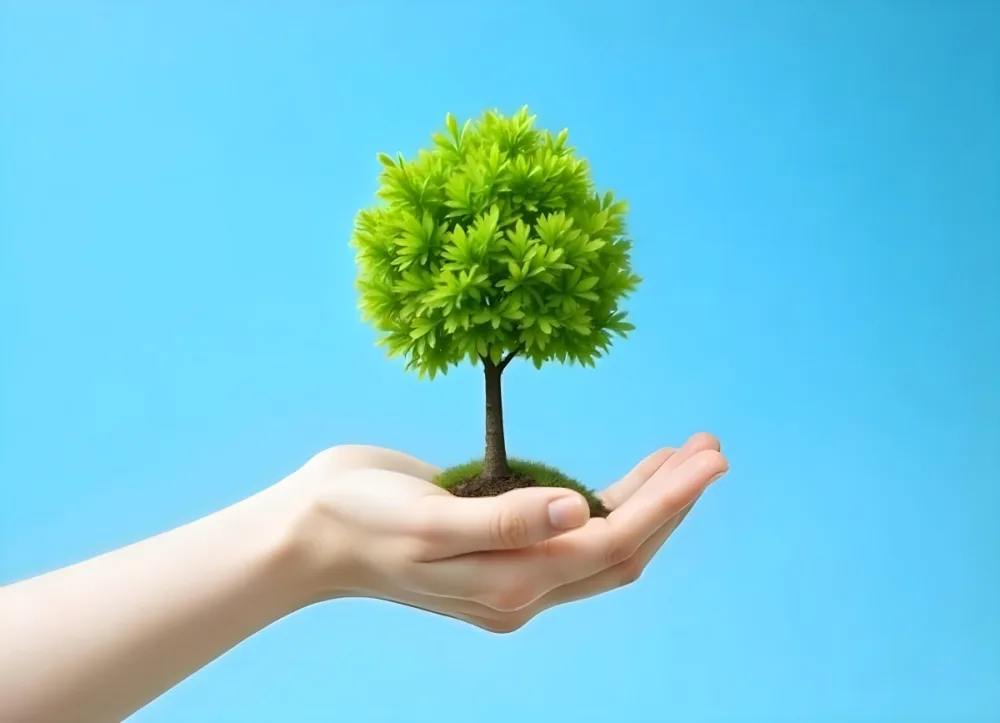 A Hand Holding A Tree With Green Leaves Blue Sky Background The Tree Is Small And Has A Round Shape The Hand Is Light Skin 10 38ec