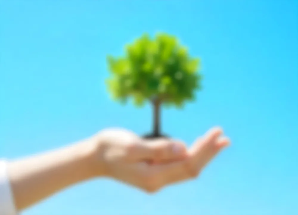 A Hand Holding A Tree With Green Leaves Blue Sky Background The Tree Is Small And Has A Round Shape The Hand Is Light Skin 12 5f4b