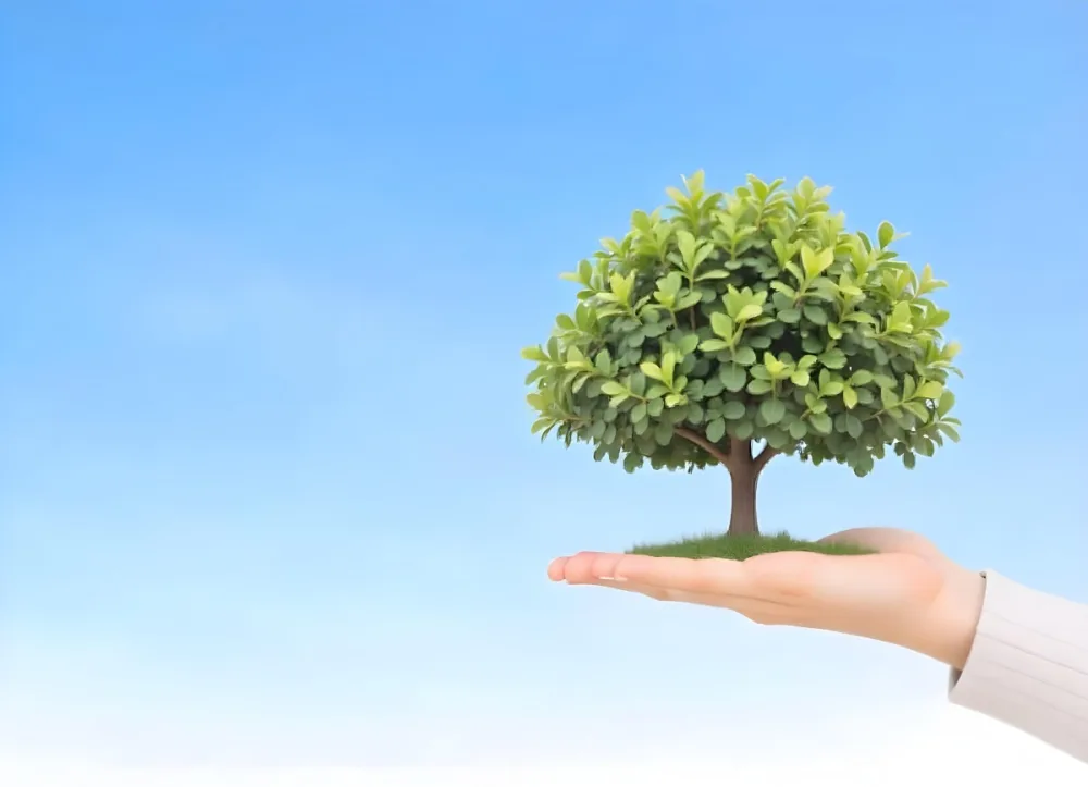 A Hand Holding A Tree With Green Leaves Blue Sky Background The Tree Is Small And Has A Round Shape The Hand Is Light Skin 25 7962