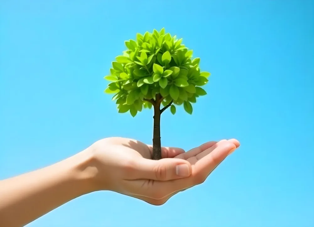 A Hand Holding A Tree With Green Leaves Blue Sky Background The Tree Is Small And Has A Round Shape The Hand Is Light Skin 27 2b3b