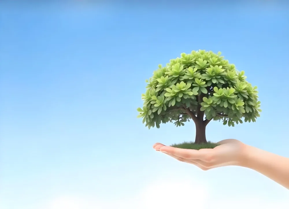 A Hand Holding A Tree With Green Leaves Blue Sky Background The Tree Is Small And Has A Round Shape The Hand Is Light Skin 29 85dd