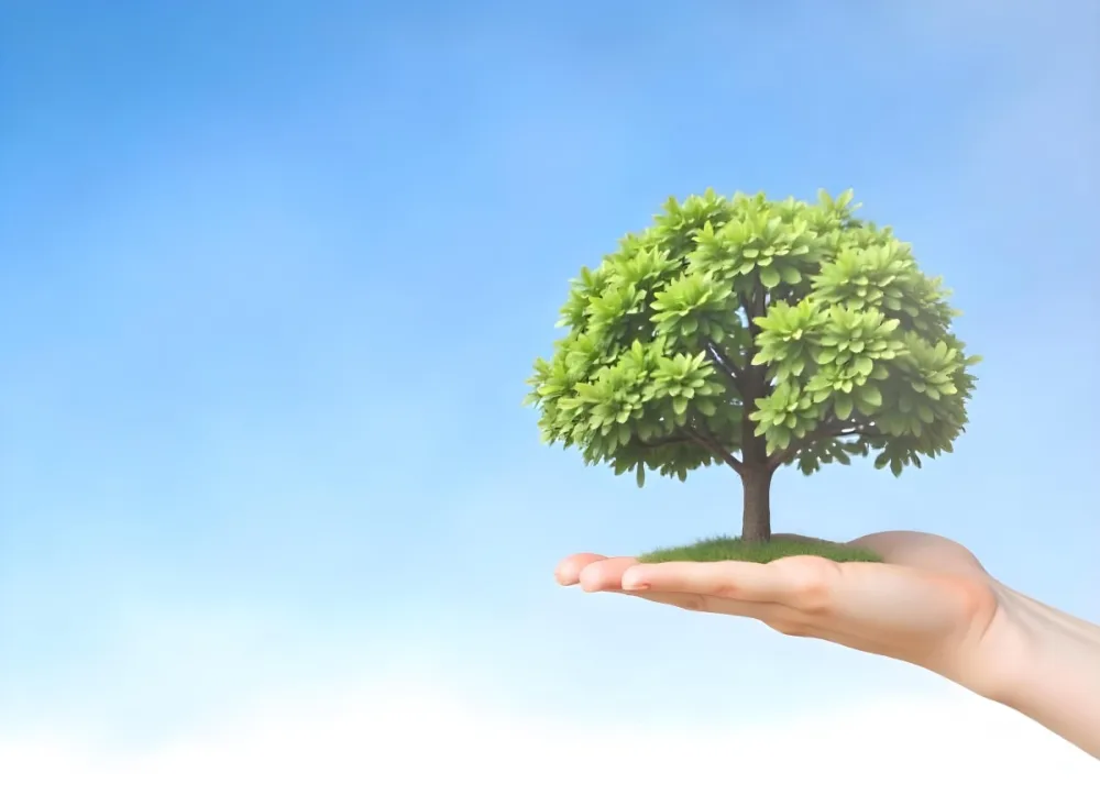 A Hand Holding A Tree With Green Leaves Blue Sky Background The Tree Is Small And Has A Round Shape The Hand Is Light Skin 31 06b2
