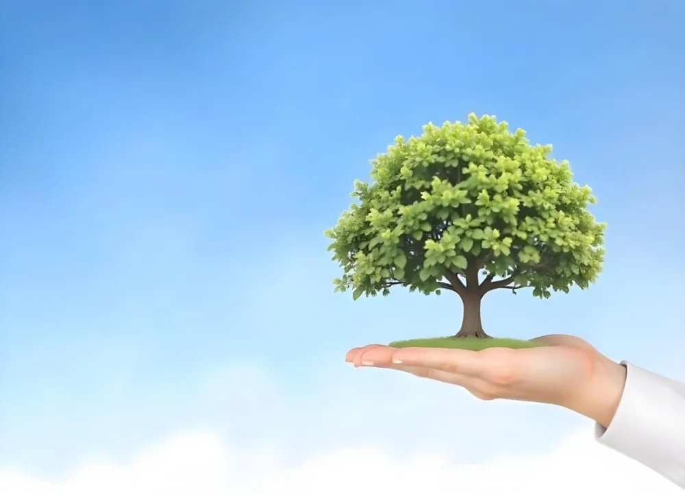 A Hand Holding A Tree With Green Leaves Blue Sky Background The Tree Is Small And Has A Round Shape The Hand Is Light Skin 4 E3dd